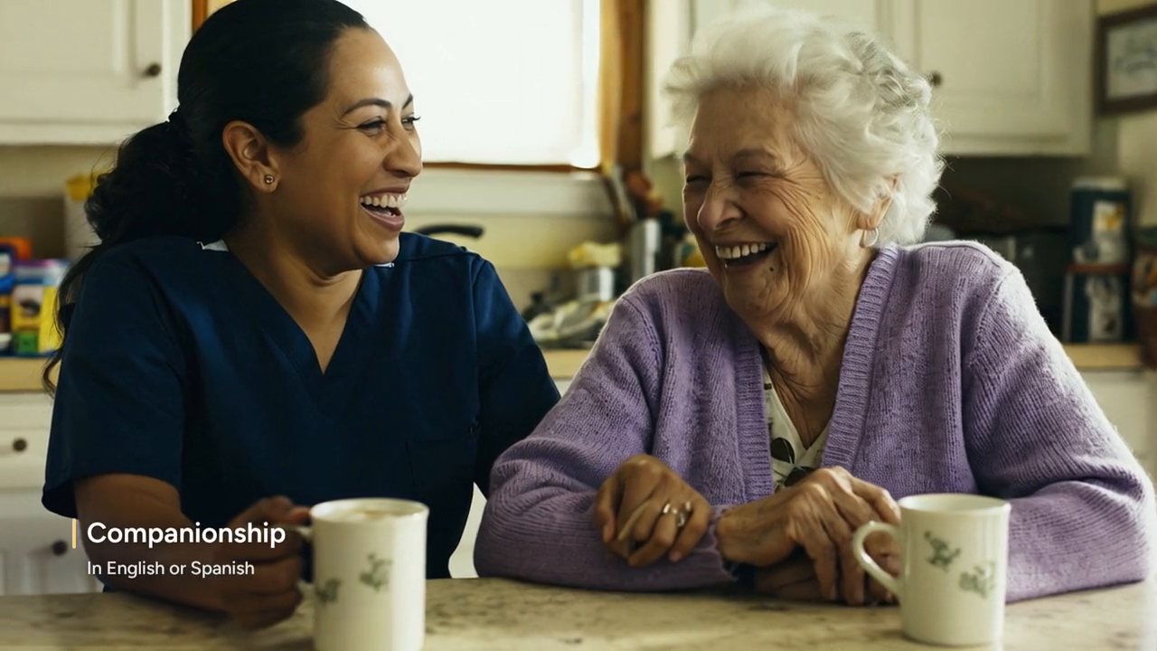 Alegre Home Health Care · The Luxury of Comfort