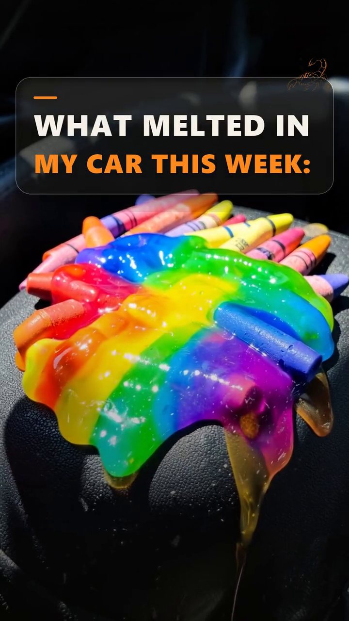 Scorpion Tint & Accessories · What Melted This Week